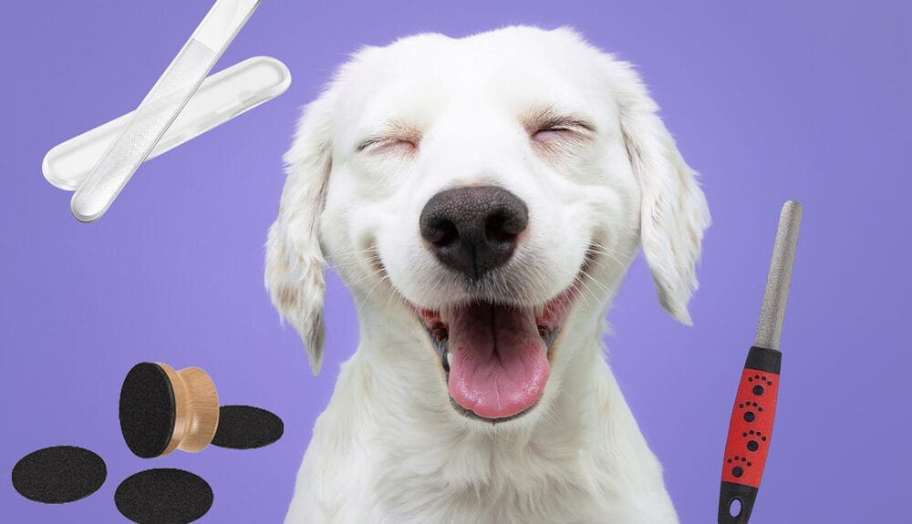 best dog nail file best dog nail file