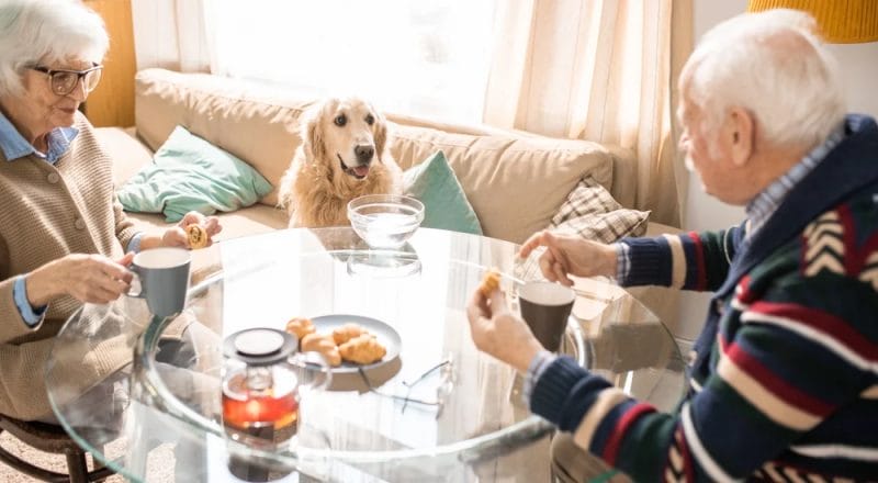 Sharing food with your dog