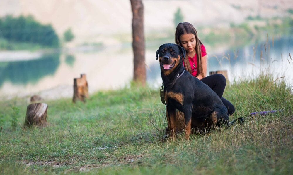 Rottweiler temperament with children