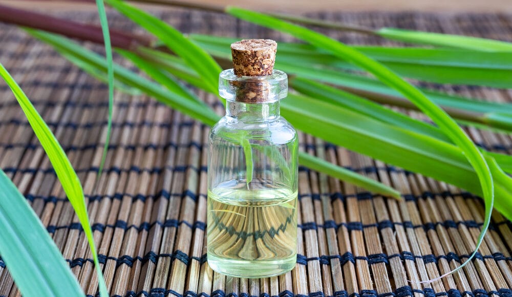 Is Lemongrass Essential Oil Safe For Dogs? (Topical / Aromatized)
