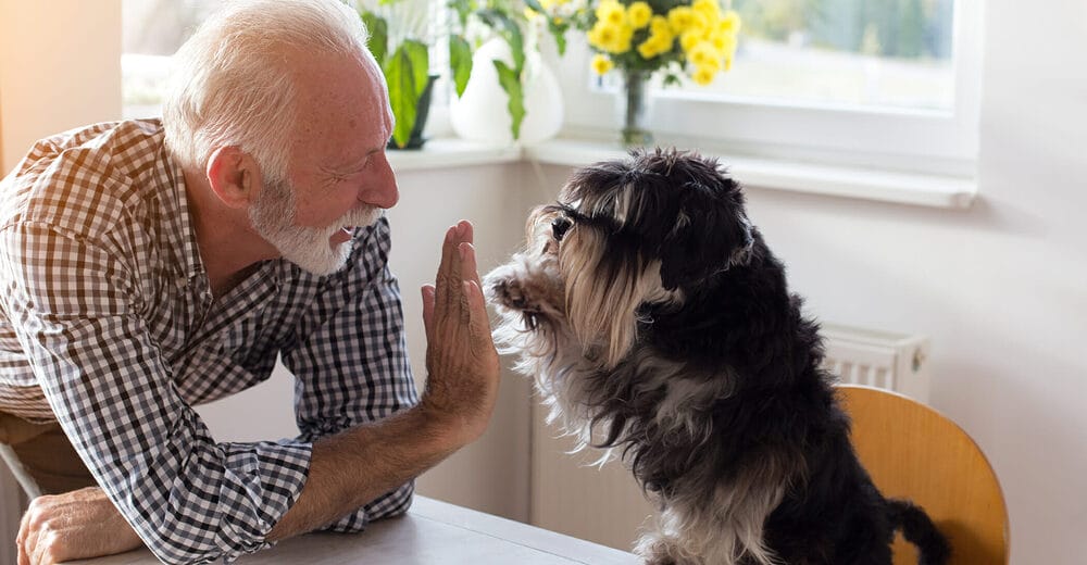 Use positive reinforcement training