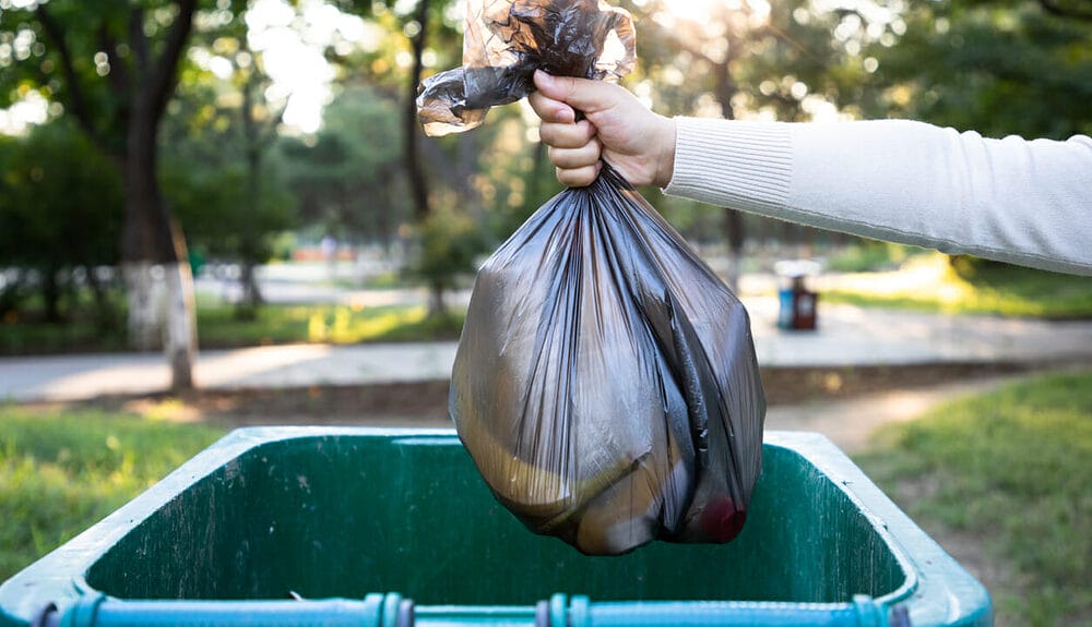 Can You Put Dog Poop in the Green Bin