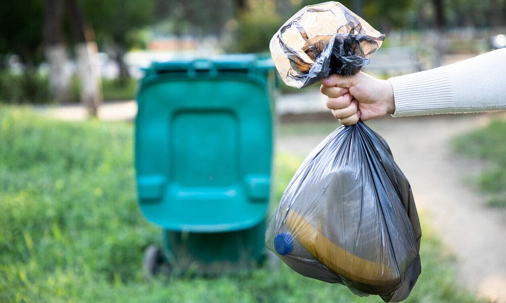 Can Dog Poop Really Go in the Green Bin