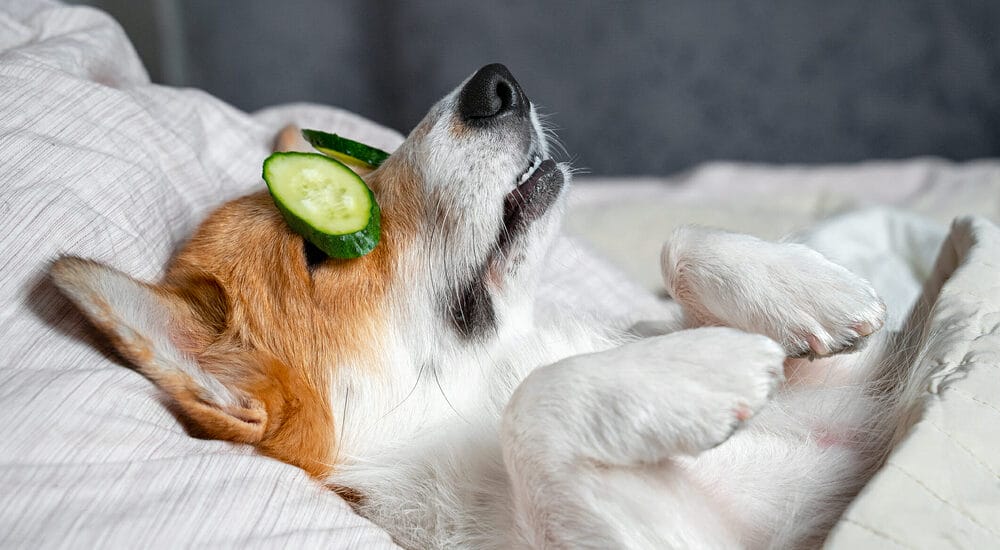 Overall health Overall health