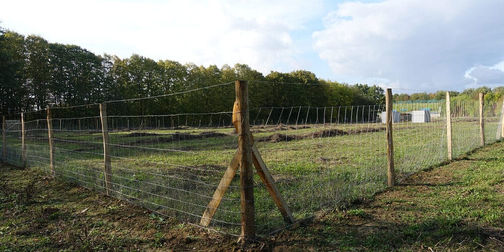 Use chicken wire at the base of the fence