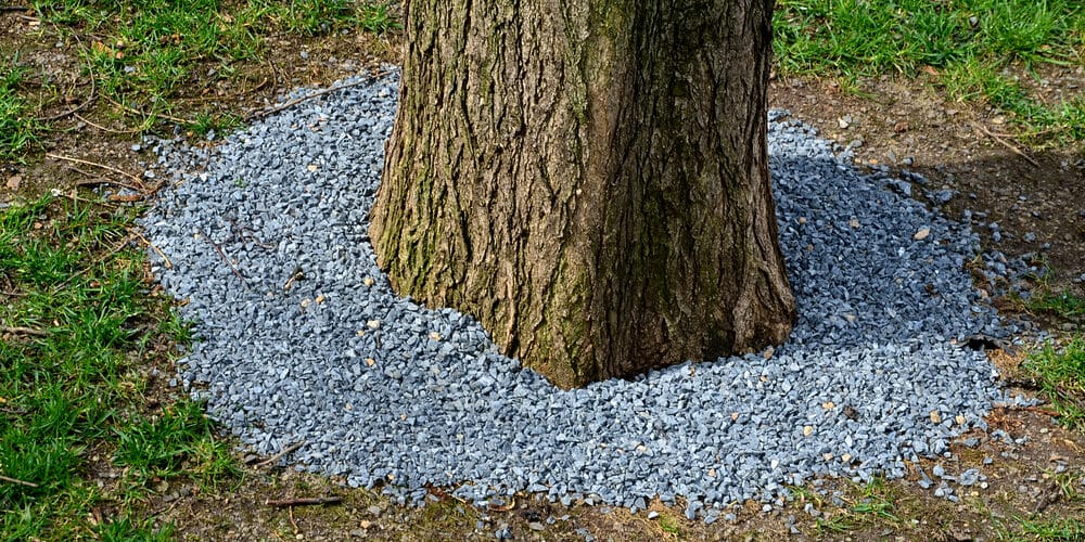 Garden stone: A more decorative option Garden stone: A more decorative option