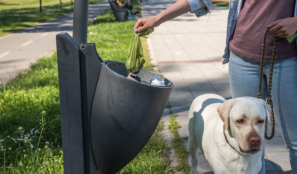 Dog Poop Turns White When It Dries