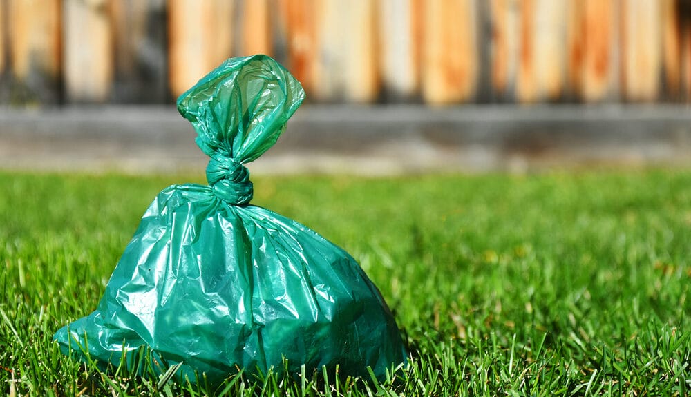 How To Dispose Of Dog Poop Without Smell