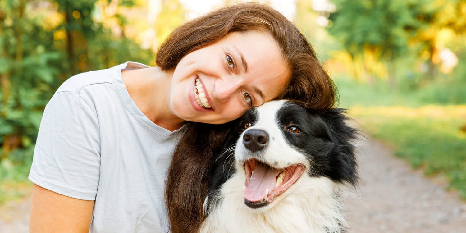 are dog teeth stronger than human teeth