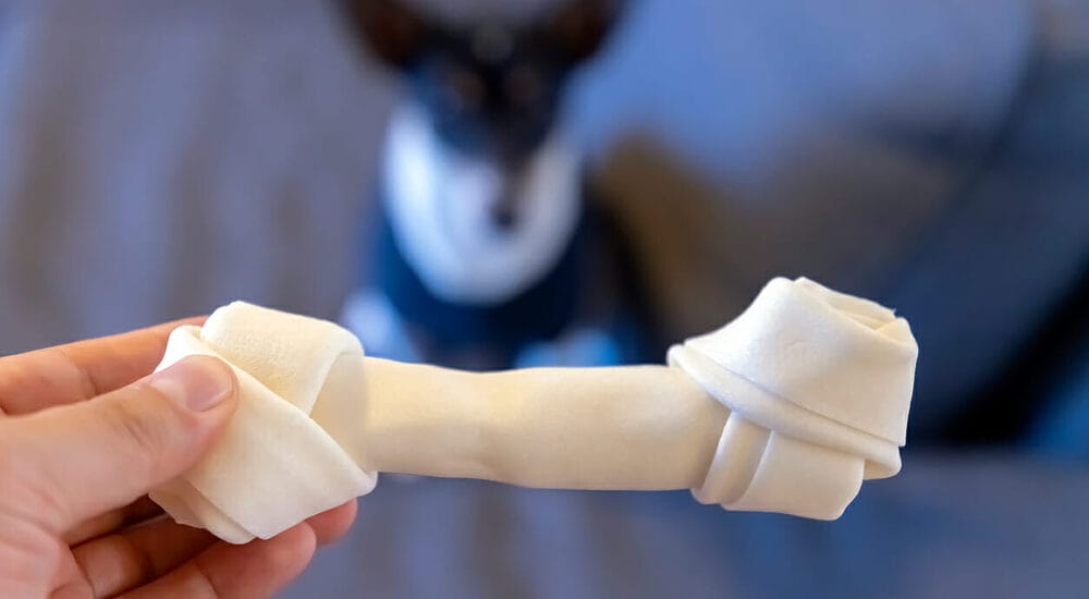 Rawhides Are Convenient for Pet Owners