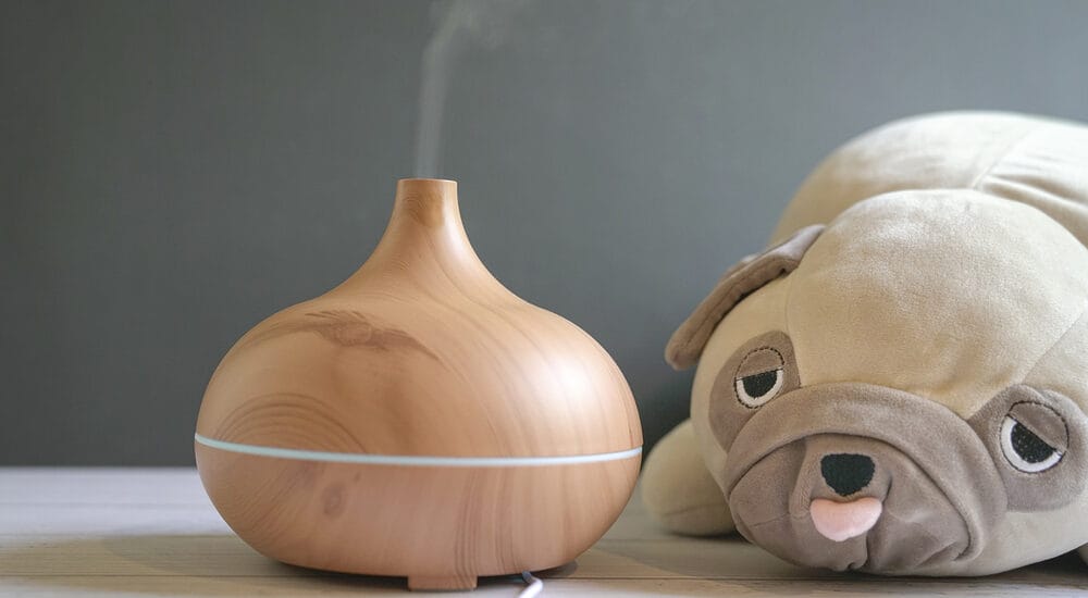 How to Use Essential Oils for Your Dog