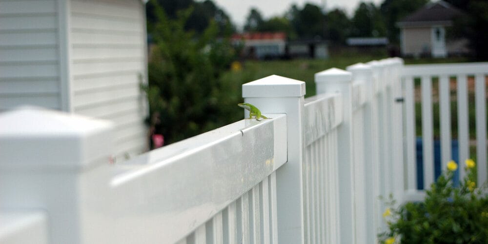Vinyl fencing for dogs