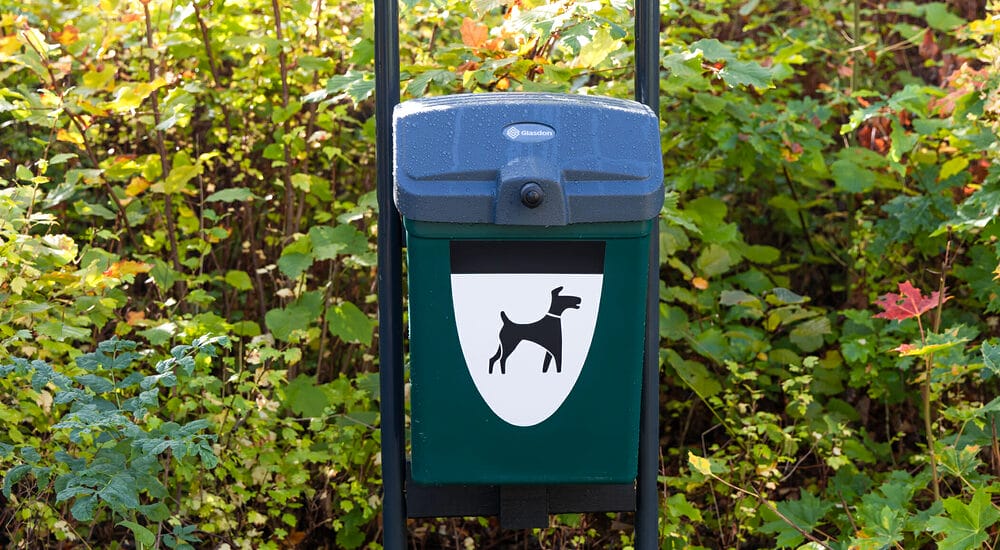 Alternatives to flushing dog poop