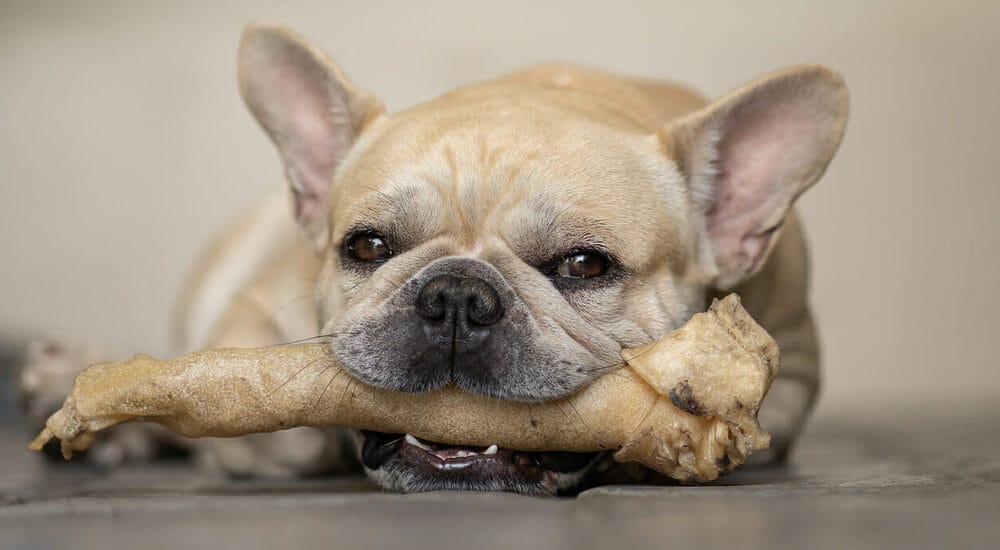 Getting Stuck in Teeth