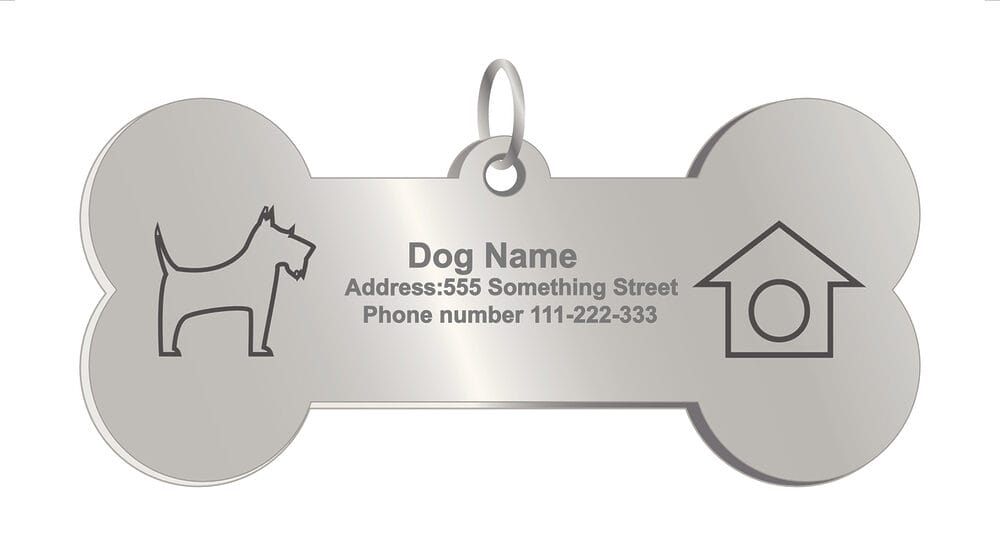 What Information to Put on Your Dog Tag