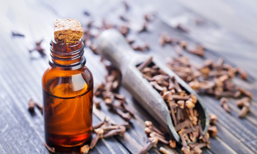 Is clove essential oil safe for dogs? (Answered)