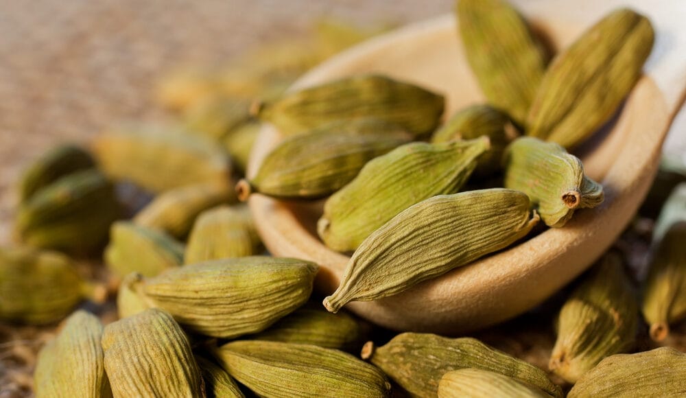Can Cardamom Be Used on Dogs