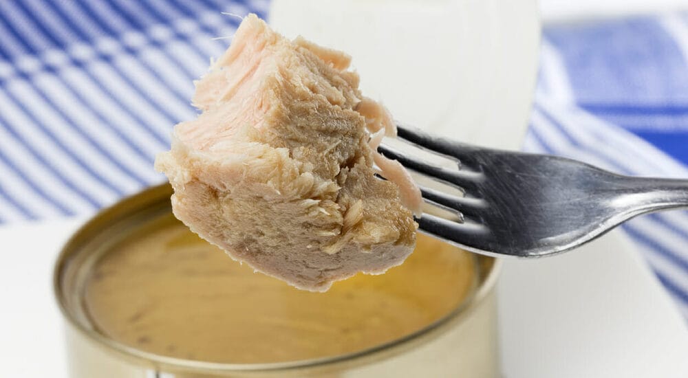 Canned tuna