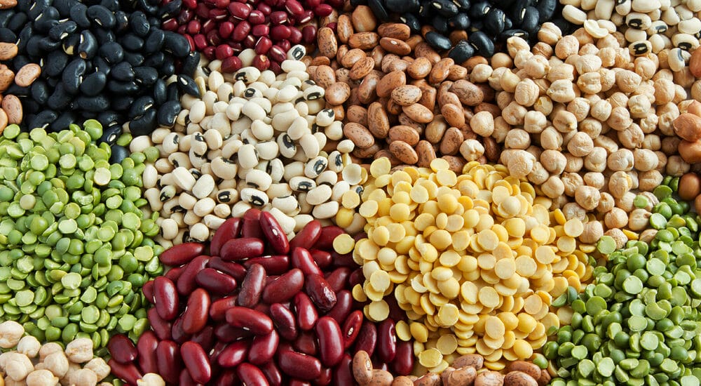 Are Beans Safe for Dogs?