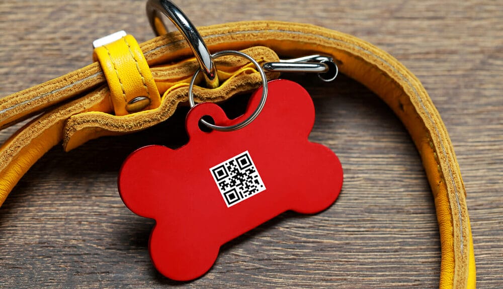 Best QR Code Dog Tag