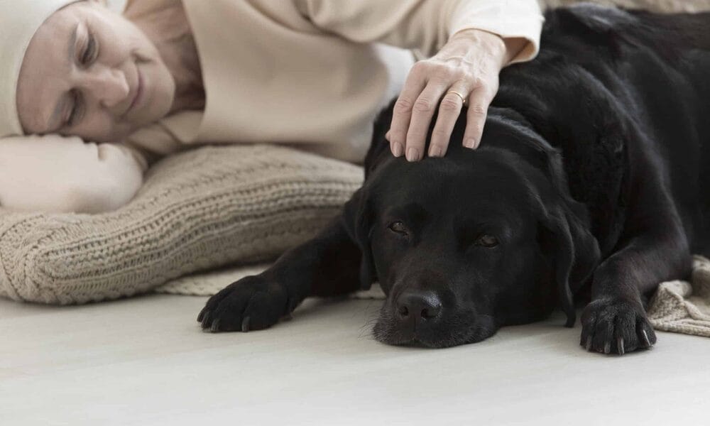 Animal assisted therapy reducing stress in elderly woman with cancer sleeping with dog on carpet