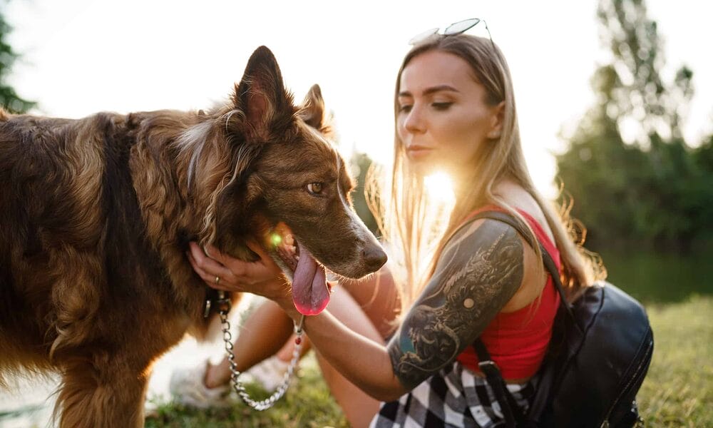 Why does my dog pant when I pet him? Why does my dog pant when I pet him?
